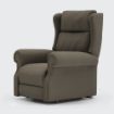 Picture of Delby Riser Recliner - Dual Motor - Standard