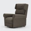 Picture of Flynn Riser Recliner - Dual Motor - Standard