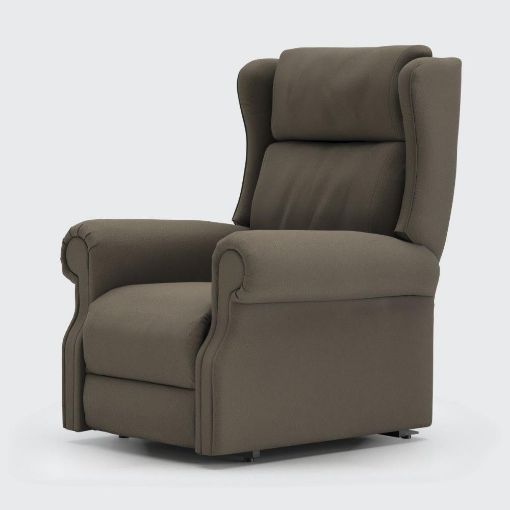 Picture of Delby Riser Recliner - Dual Motor - Standard